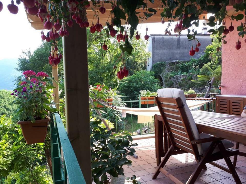 La Casa Rosa Di Segusino With Spa Jacuzzi In Garden Sequsino Exteriör bild